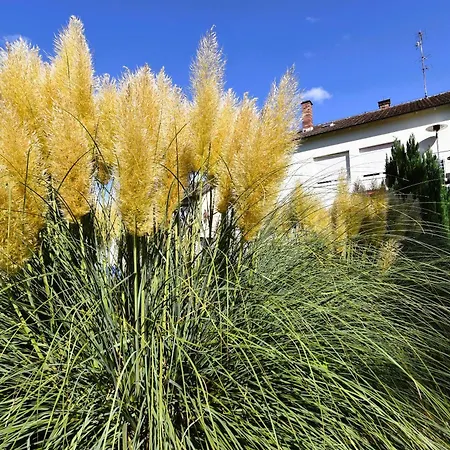 Sonnige 4 Gartenwohnung Naehe Fuer Bis Zu 6 Personen * Eriskirch